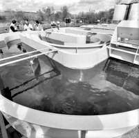 Water facility in black and white
